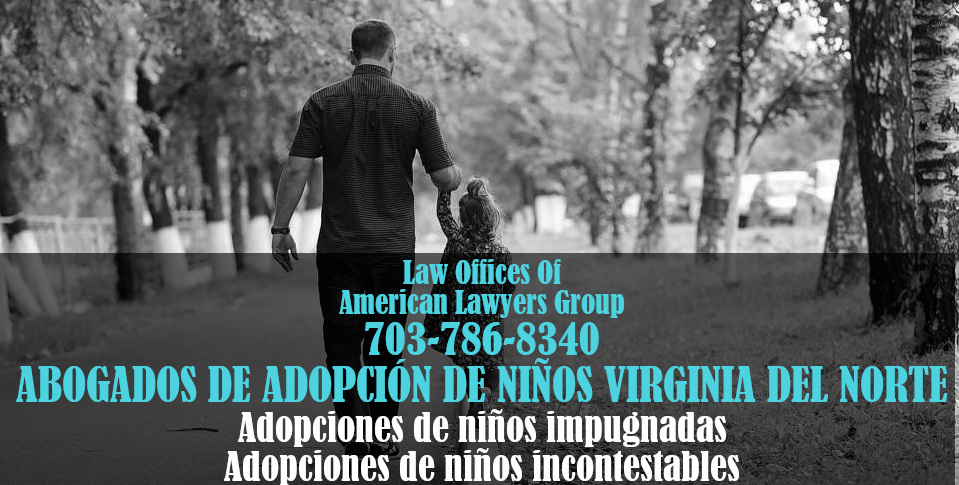 adopción infantil fairfax virginia