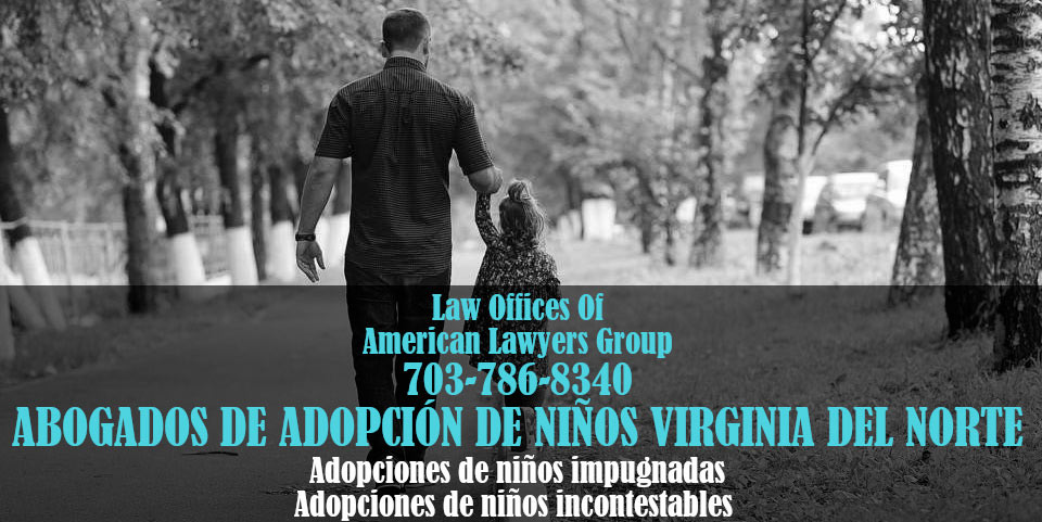 adopción de niños virginia